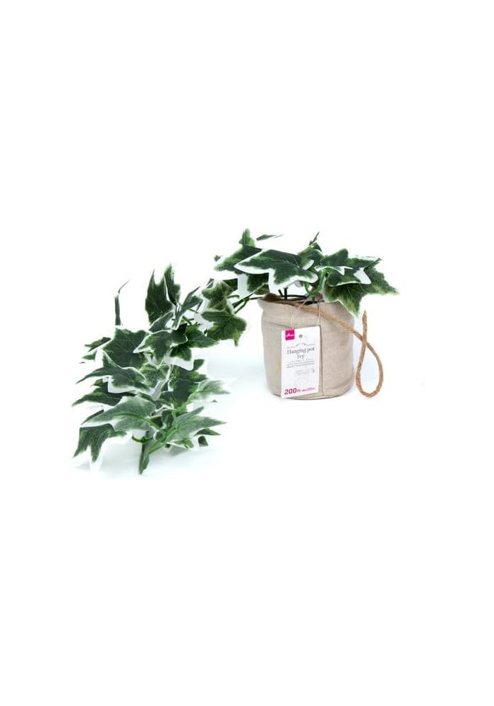 DAISO Hanging Pot Ivy – Speckled | Decorative Indoor Plant Pot | Wall & Ceiling Hanging Planter - Image 3